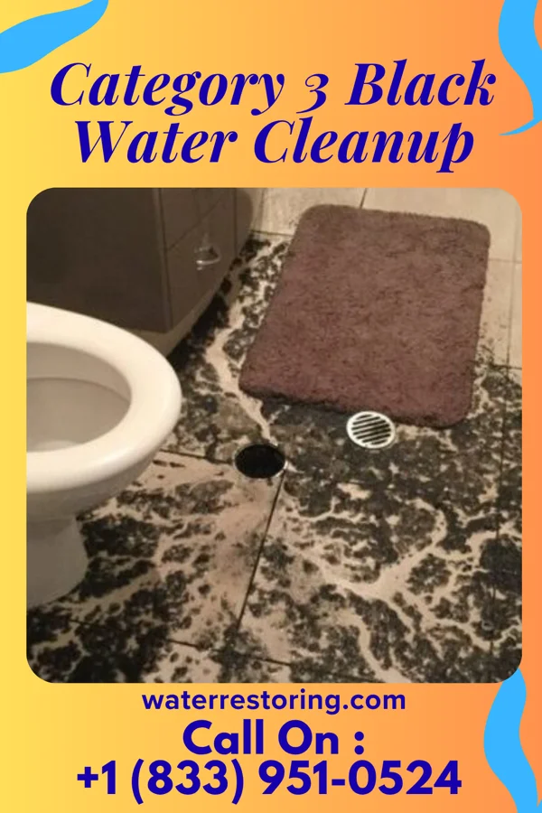 Category 3 Black Water Cleanup in Seven Hills, CO
